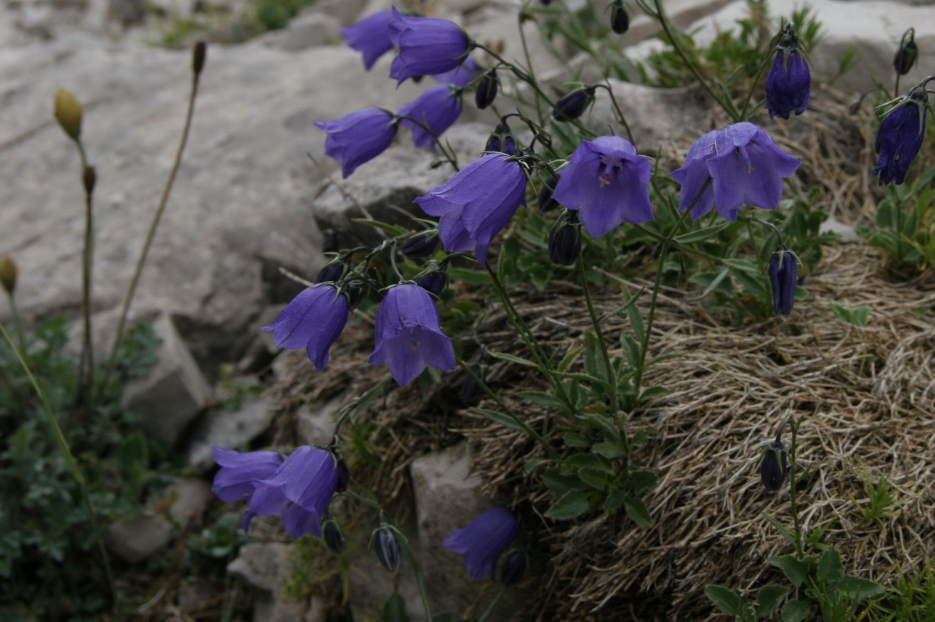 3 giorni tra le dolomiti friulane